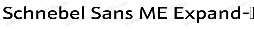 Schnebel Sans ME Expand字体转换
